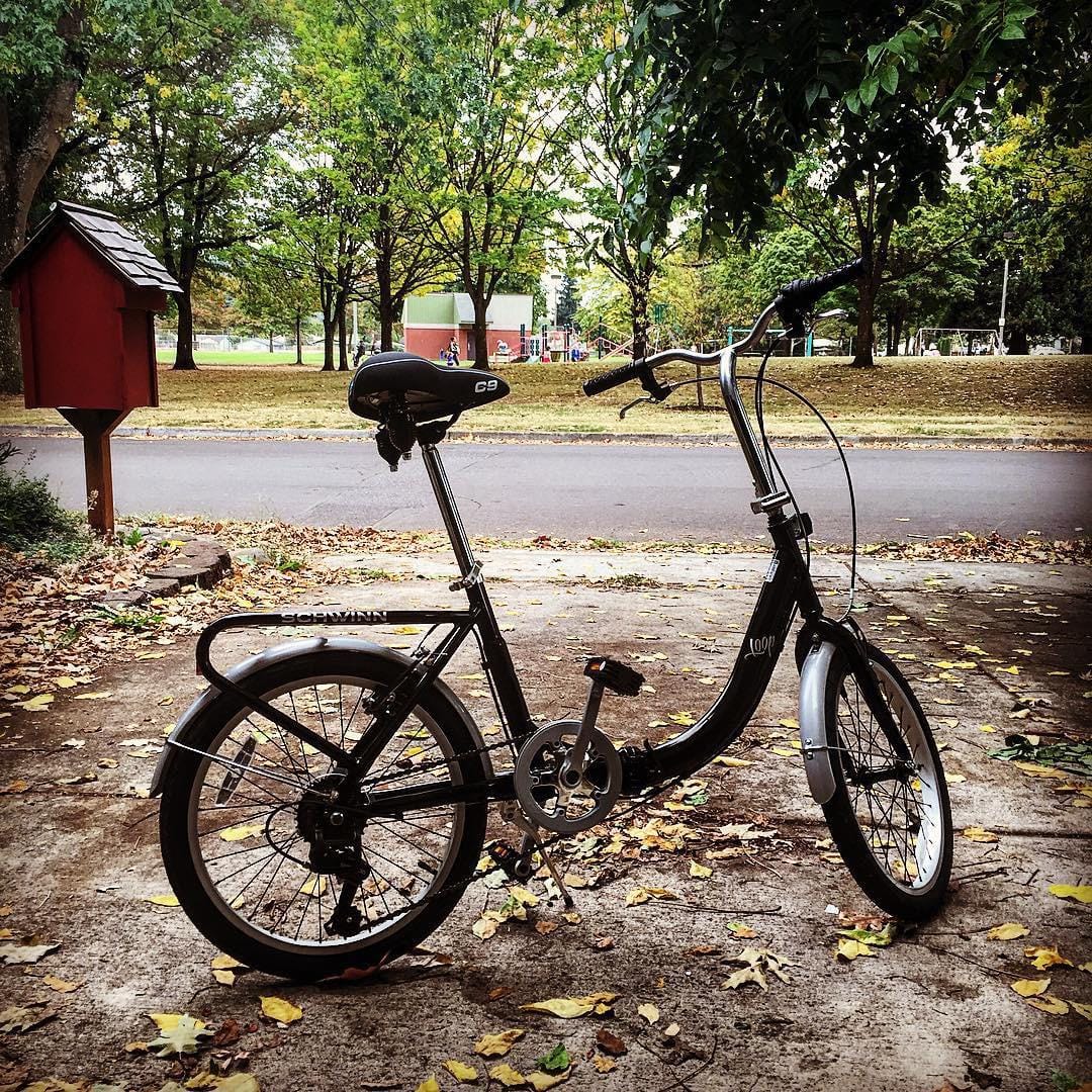 Schwinn Loop customer photo 1