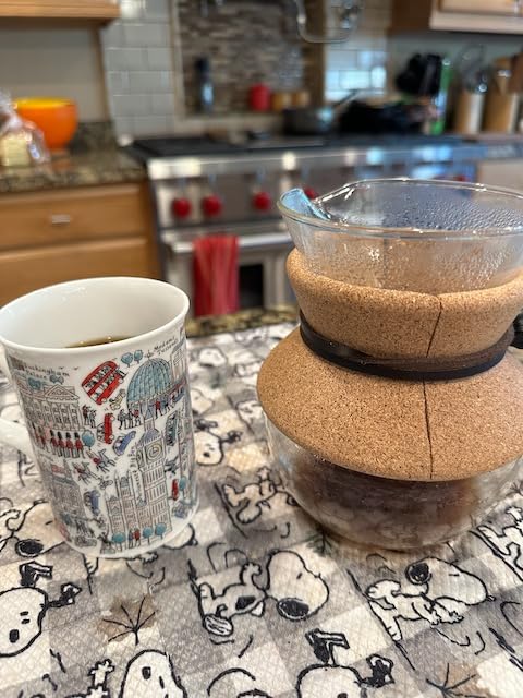 Bodum 17oz Pour Over Coffee Maker, Borosilicate Glass with Reusable Stainless Steel Filter and Cork Grip customer photo 1