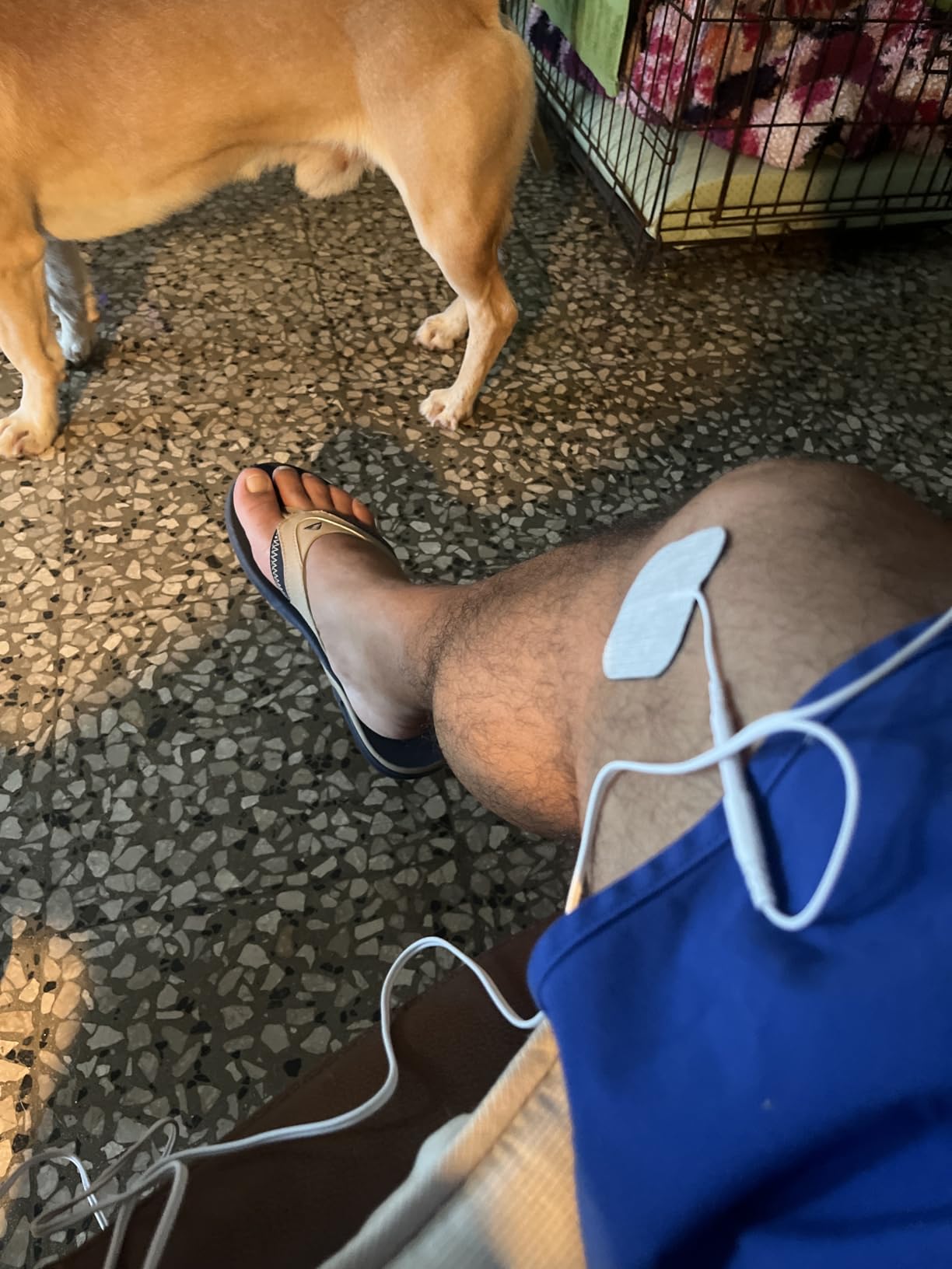 AUVON 24 Modes TENS Unit Muscle Stimulator for Pain Relief, Premium Pads customer photo 2