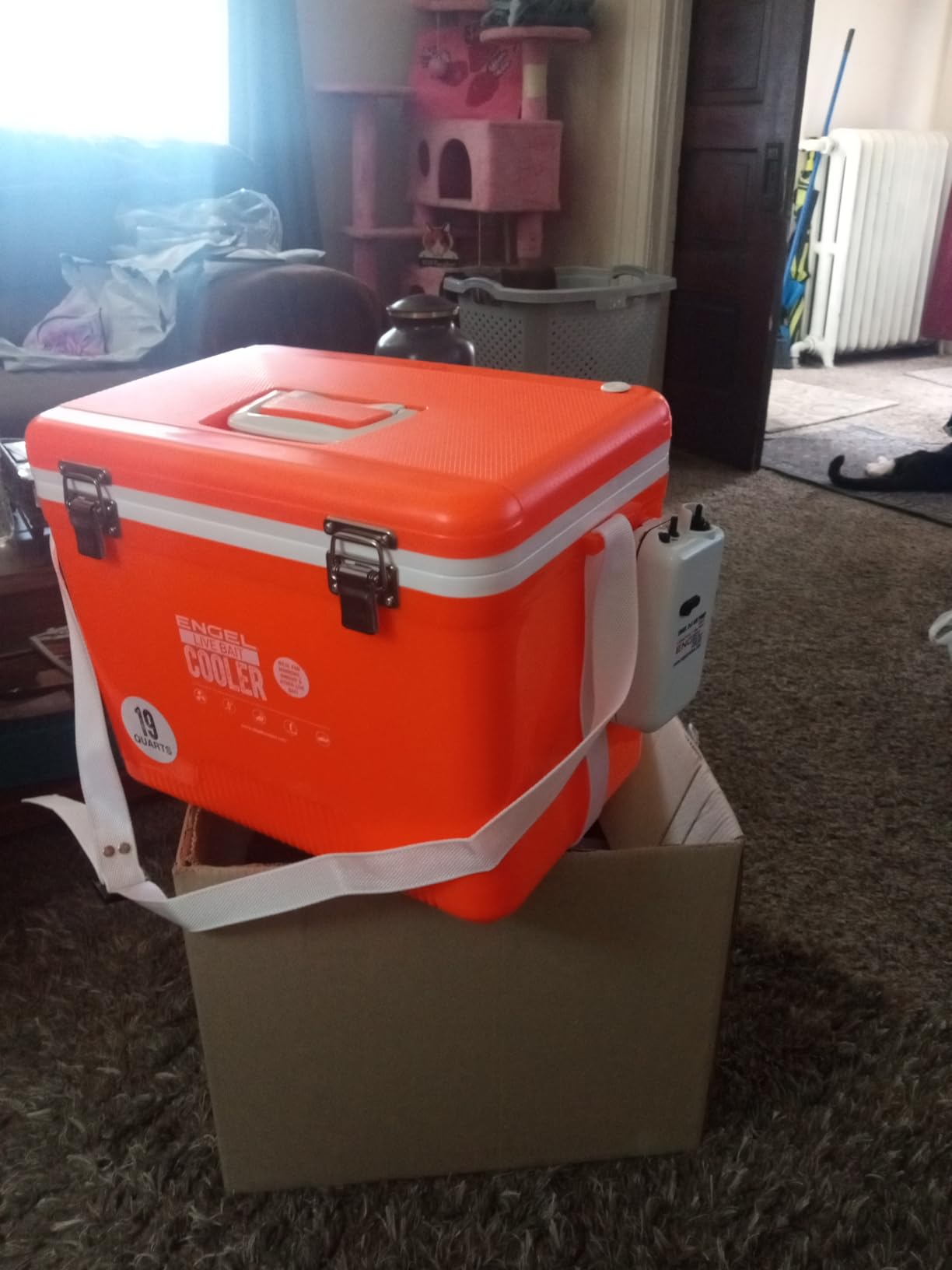 Engel Live Bait Cooler Box with 2nd Gen 2-Speed Aerator Pump - Portable Fishing Station & Minnow Bucket for Shrimp & Other Live Fish with Aerator - ENGLBC-N customer photo 1