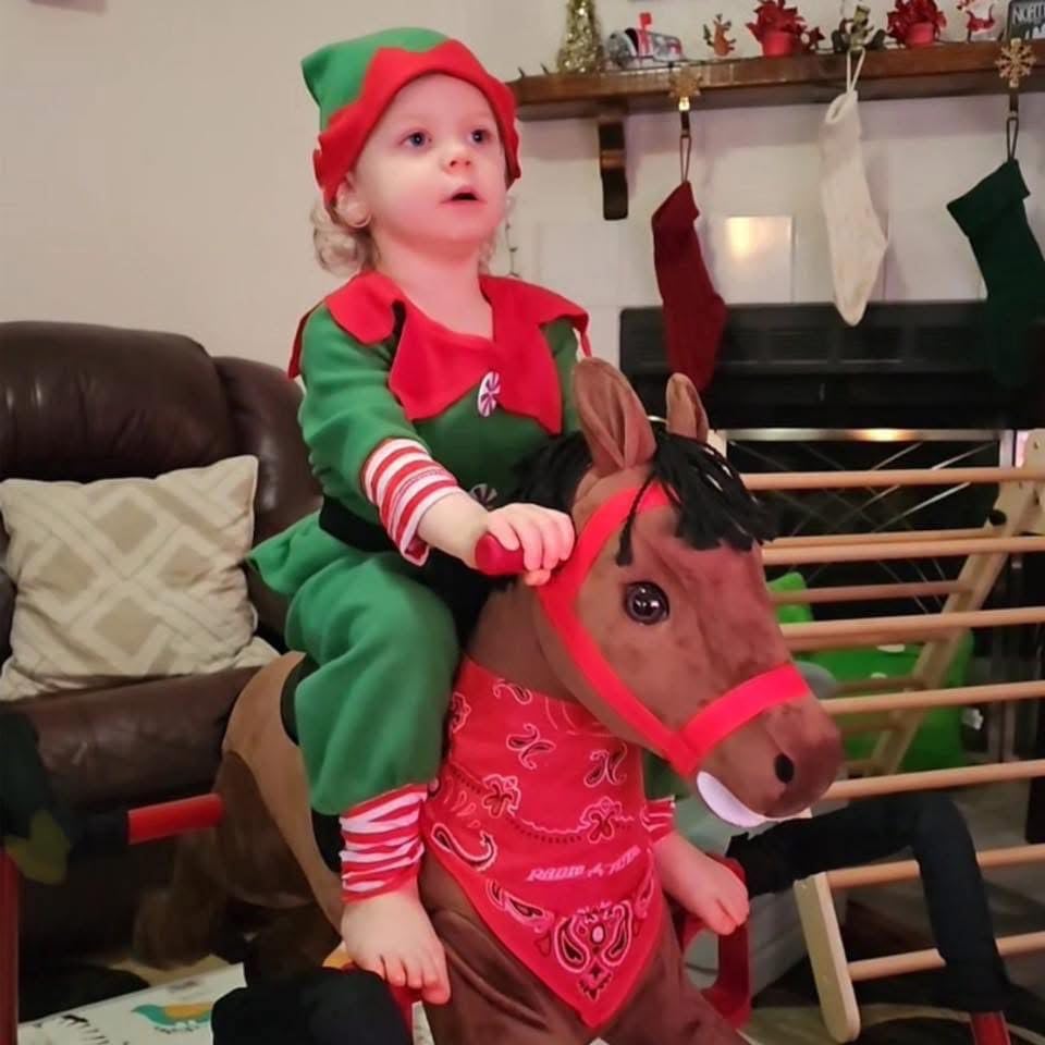 Radio Flyer Chestnut Interactive Riding Horse, for Ages 2-6, Ride On Toys | Toddler Ride On Toys, Plush Spring Rocking Horse, 3 Levels, EZ Climb Step, Safety Straps, Spring Covers, 60 lb Capacity customer photo 2