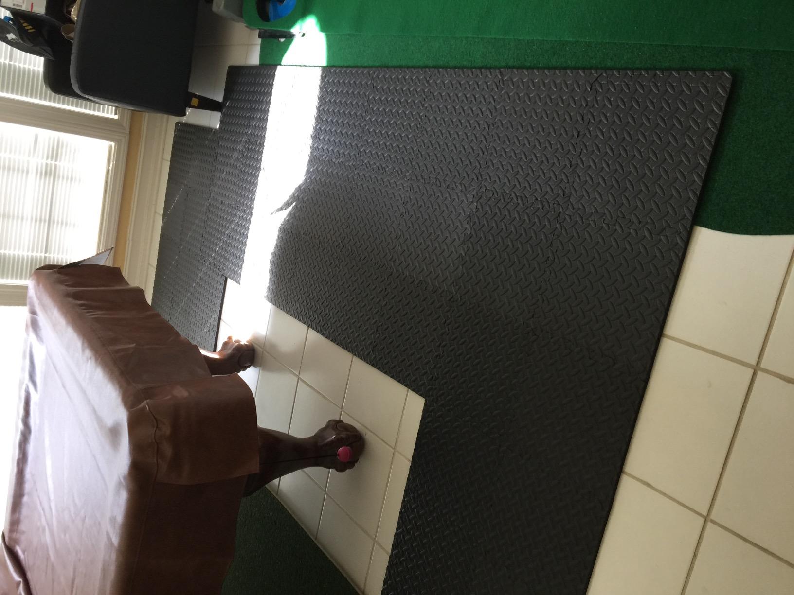 Yes4All EVA Interlocking Mats, Puzzle Floor Tiles, Foam Floor Padding with Border for Furniture, Home Space, Living Room, Garage 11 SQFT customer photo 2