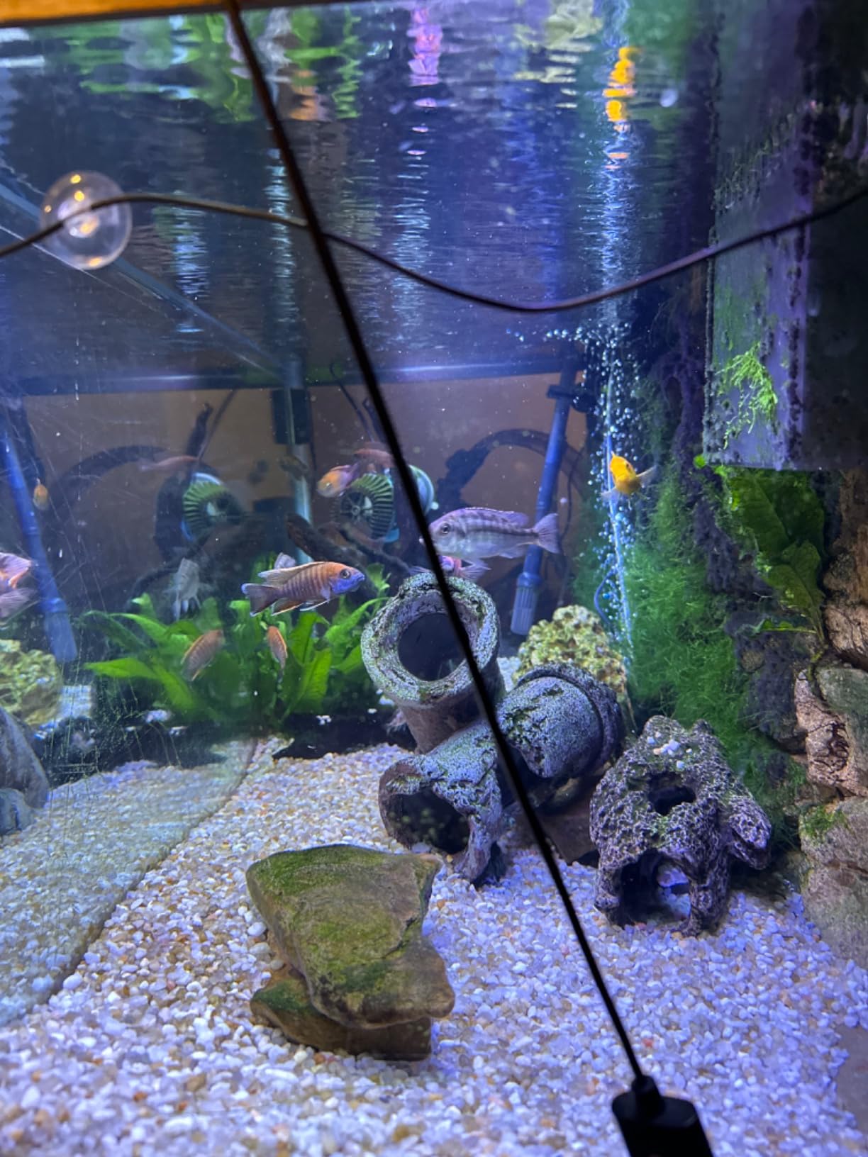 Aqueon QuietFlow Canister Aquarium Filter, Up to 150 Gallons (ECOM) customer photo 2