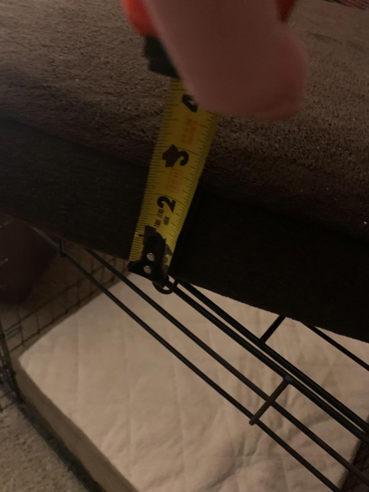 BarkBox Orthopedic Dog Bed - Large customer photo 1