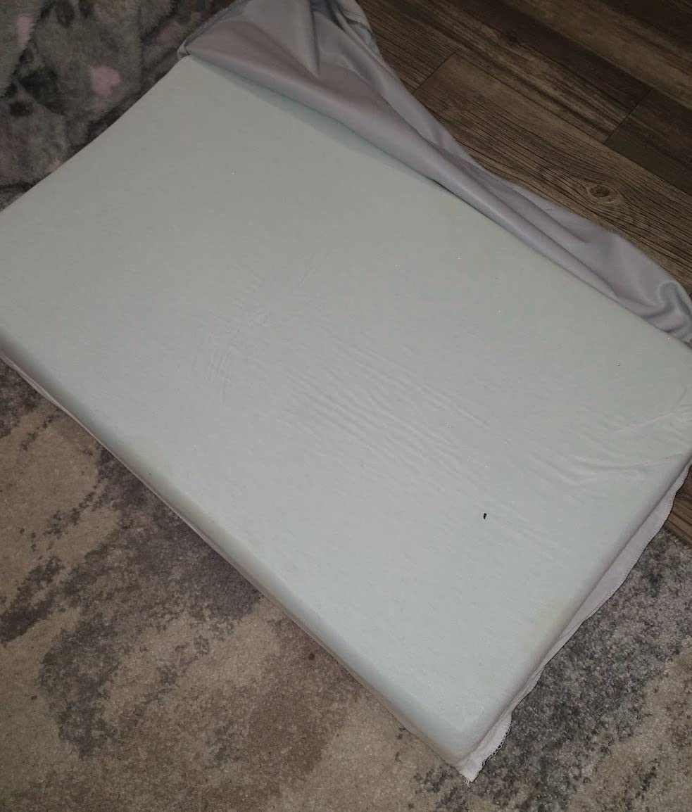 BarkBox Orthopedic Dog Bed - Large customer photo 2