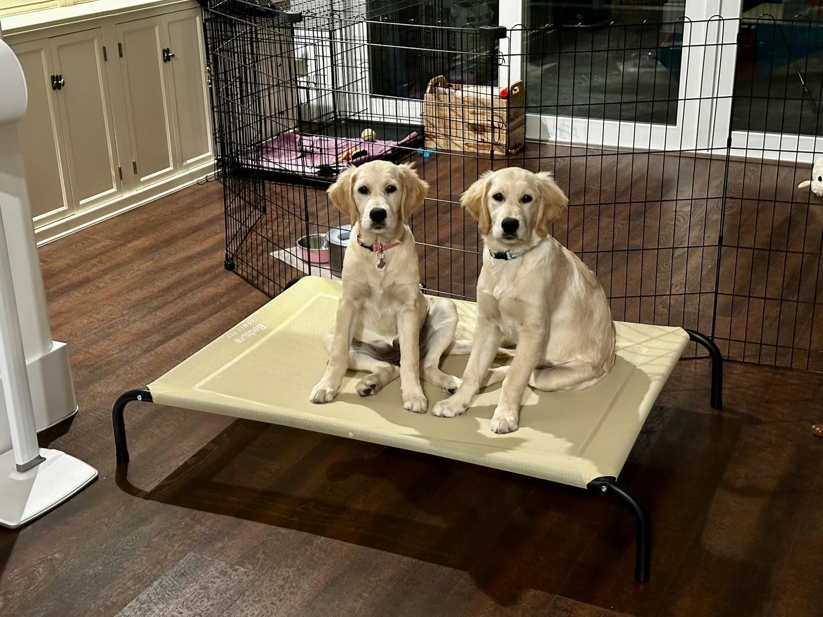 Bedsure Outdoor Elevated Cooling Dog Bed Large Sized Dog, 49in Grey customer photo 1