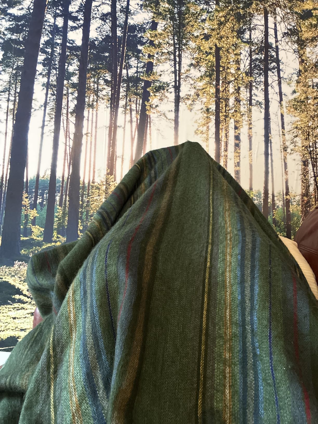 QISU Alpaca Wool Blanket Throw | Large, Beautiful, Warm, Variegated | 85 x 65 inches | Ultra-Soft, Hypoallergenic and Breathable | Non-Itchy or Scratchy Fabric (Green Variegated) customer photo 2