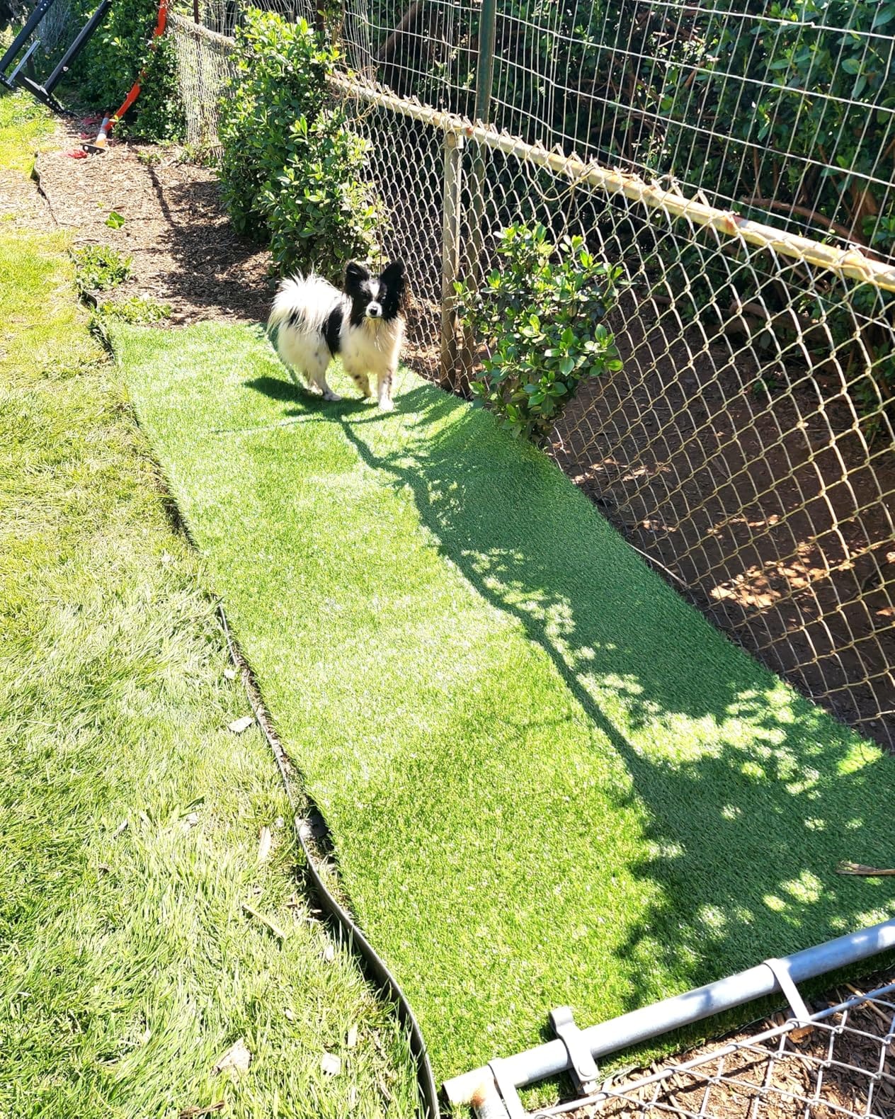 Artificial Grass 3' x 10' (30 Square Feet) Realistic Fake Grass Deluxe Turf Synthetic Turf Thick Lawn Pet Turf - Perfect for Indoor/Outdoor Landscape (20mm high Pile) Customized customer photo 2