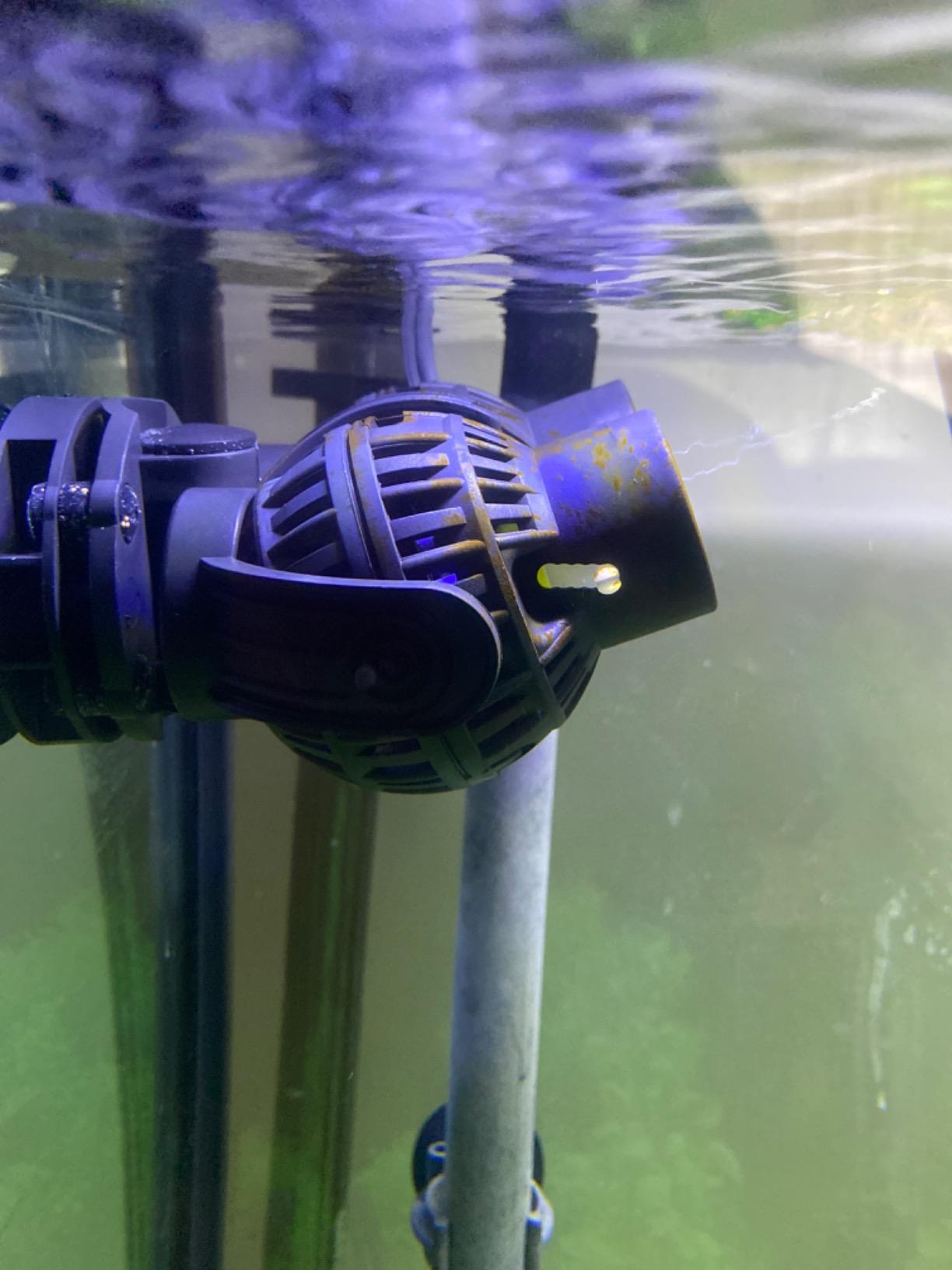 FREESEA Magnetic Wave Maker for Aquarium: 1s Mounts on 15mm Glass Secure | 8W 1600GPH 180 Degree Adjustable Dual Heads Eliminate Dead Spots Improve Water Quality for 55-125 Gallon Fish Tank customer photo 1