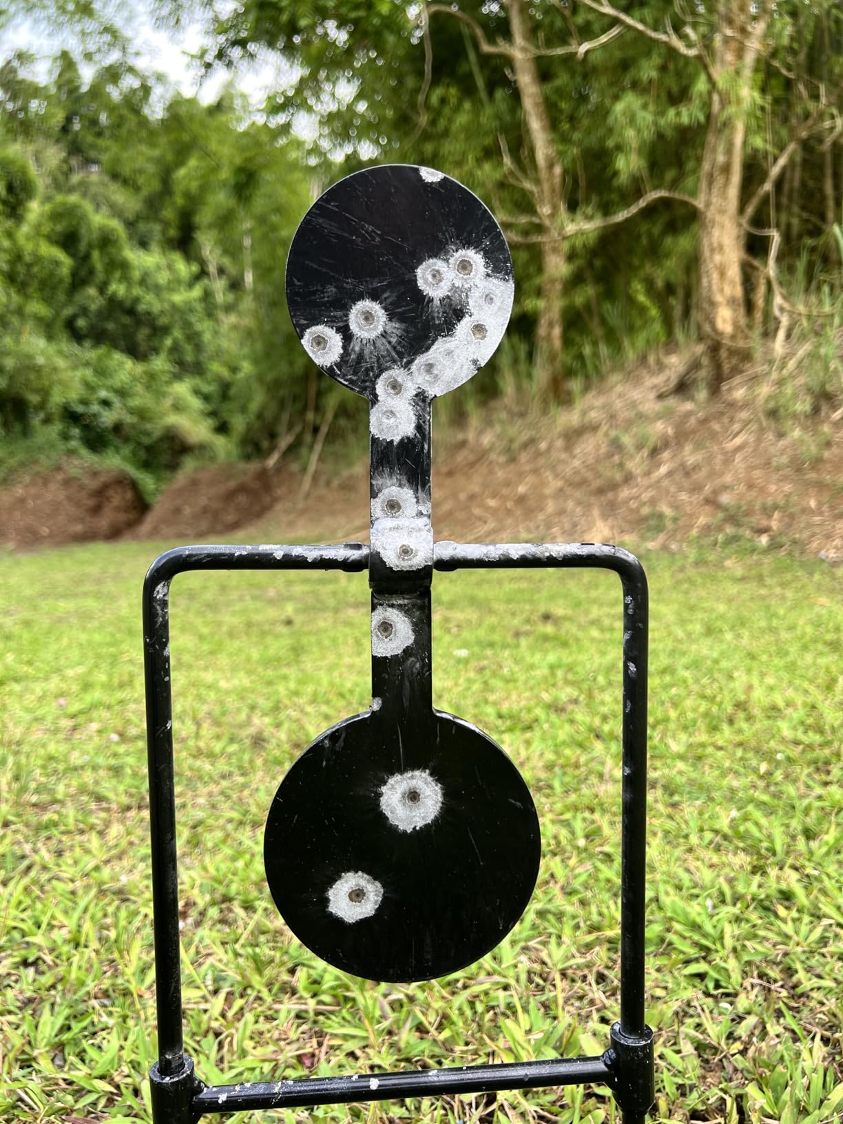 Highwild 3/8 Inch Thick Double Spinner Shooting Targets - Auto Reset Steel Target - for Centerfire Handguns Up to .44 Magnum customer photo 2