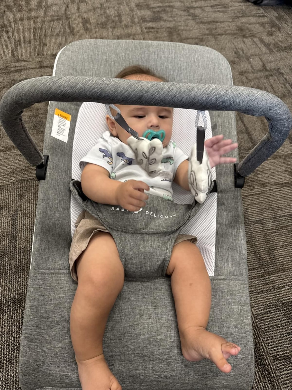 Baby Delight Alpine Deluxe Portable Bouncer | Infant | 0-6 months | Charcoal Tweed customer photo 1