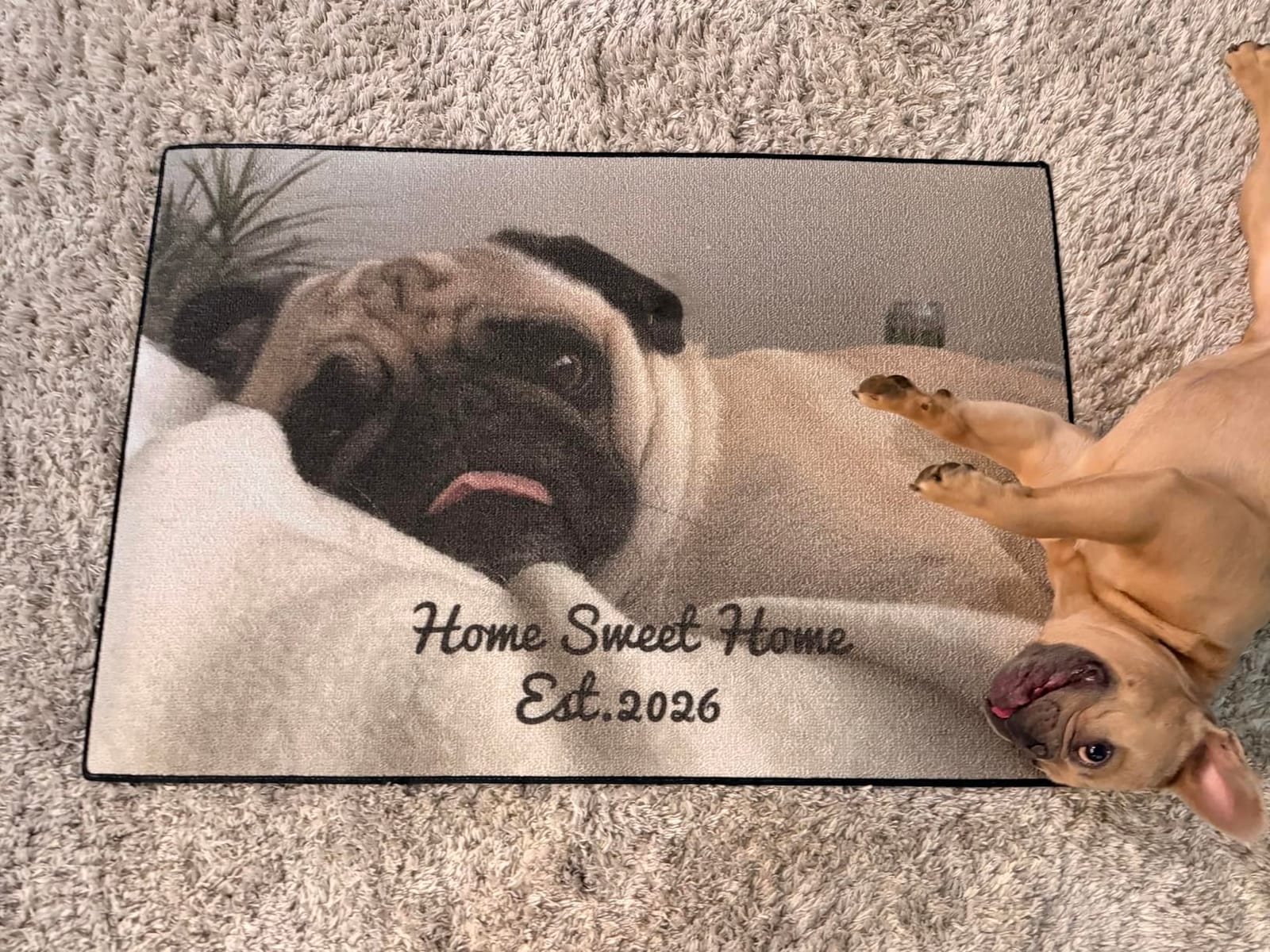 VictoryStore Custom Doormat 24x36 Inches Any Color, Custom Logo Doormat Full Color Print customer photo 1