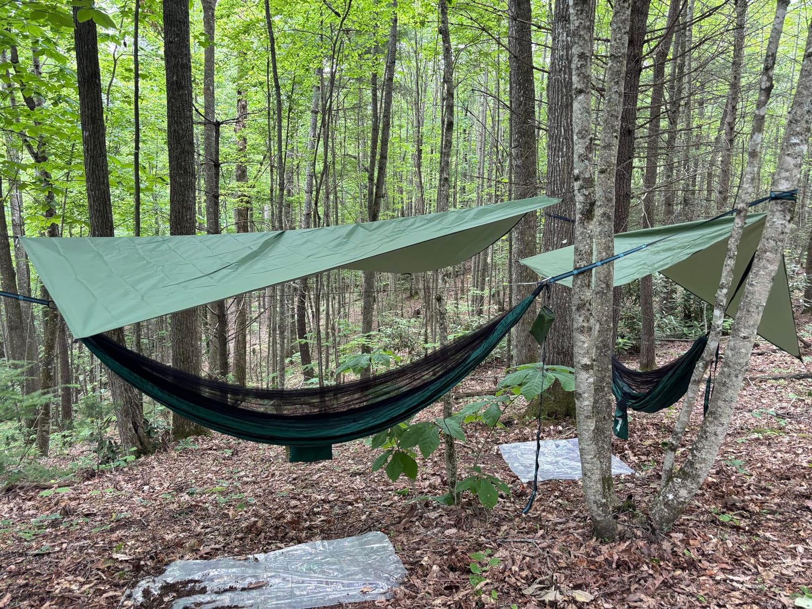 Covacure Camping Hammock, 772 lbs Capacity Double Hammock - Dark Green customer photo 1
