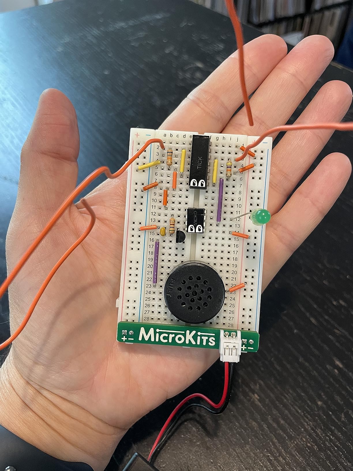 MicroKits Theremin Electronics Kit: Make Your Own Electric Field Instrument | Educational Electronic Music STEAM/STEM Kits for Kids or Grown Ups | No Tools Needed Easy to Build Breadboard Kit customer photo 1