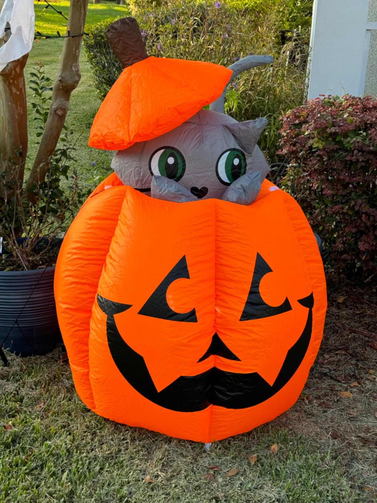 Joiedomi 5 FT Halloween Inflatables Outdoor Decorations, Inflatable Halloween Decor Outdoor Blow Up Pumpkin for Yard, Animated Blow Up Cat On Pumpkin with LEDs for Outside Decor customer photo 2