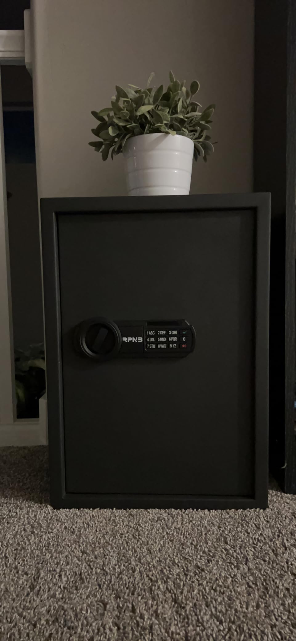 RPNB Small Home Safe Box, Personal Safe, Metal Money Safes for Home, 1.2 CuFt | Digital Cash Safe with Keys, Electronic Code Lock, Steel Alloy Small Cabinet Safe for Money, Home, Office, Hotel, Business, Jewelry customer photo 1
