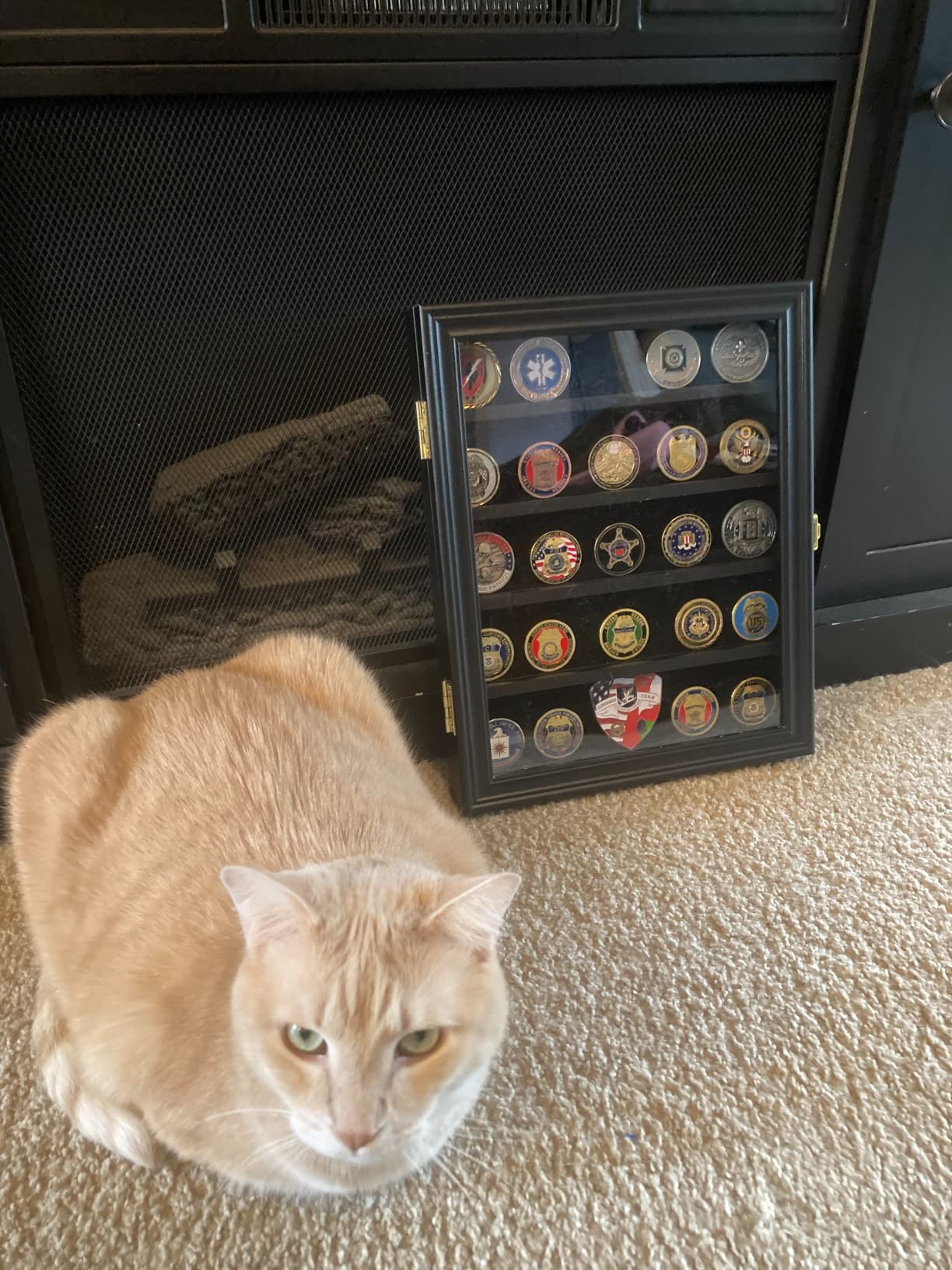 Military Challenge Coin Display Case Lockable Cabinet Rack Holder Shadow Box with Removable 2 Grooves Shelves and Anti Dust Door for Casino Poker Chips Collectibles, Small - Black customer photo 1