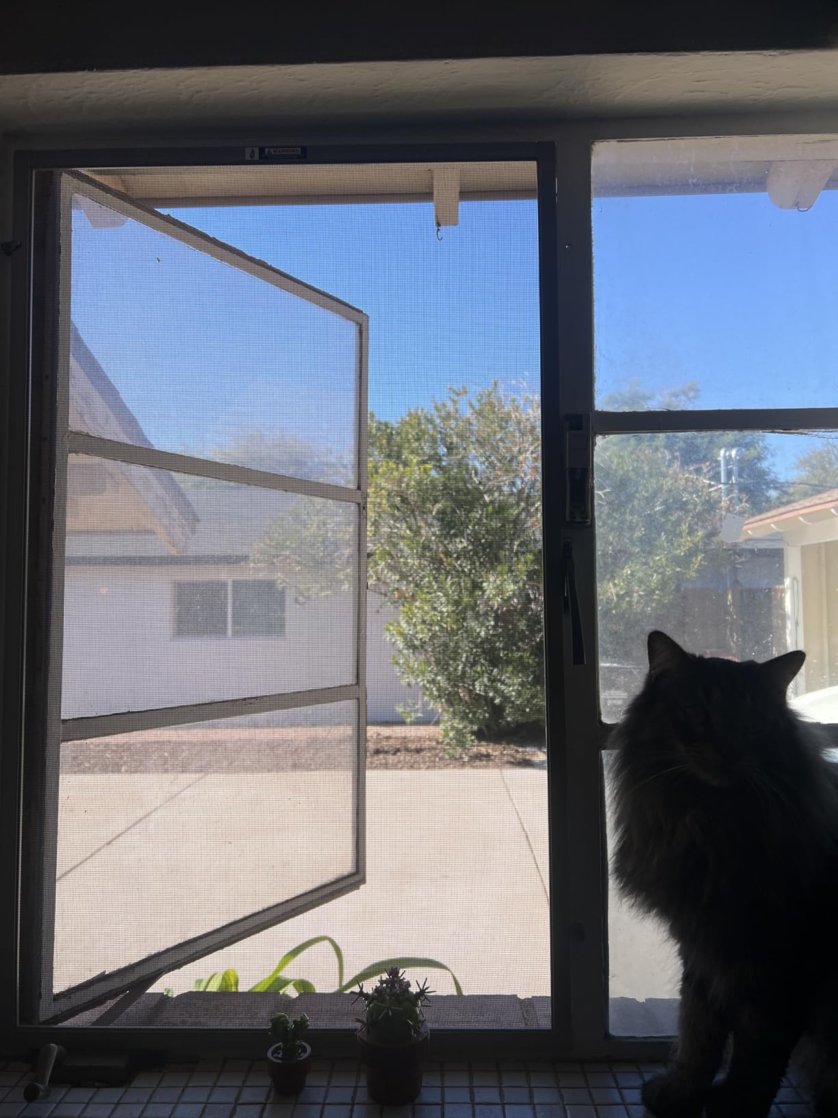 Metro Screenworks Custom Window Screens Fully Assembled, Black Frame | Comes Assembled and Ready to Install, Pre-Framed Mesh Replacement Window Screen for Home, Patio, Porch, & More customer photo 2