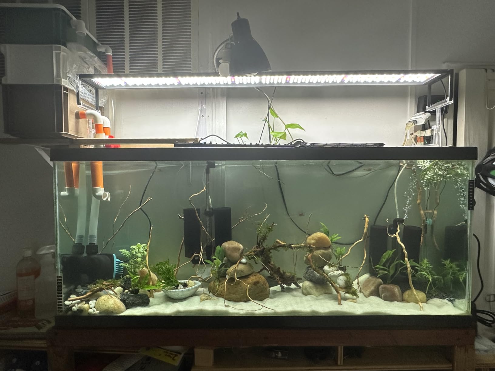 1250gph Aquarium 24V DC Water Pump with Controller, Submersible and Inline Return Pump for Fish Tank, Aquariums, Fountains, Sump, Hydroponic, Pond, Freshwater and Marine Water Use (32W, 13.1FT) customer photo 1