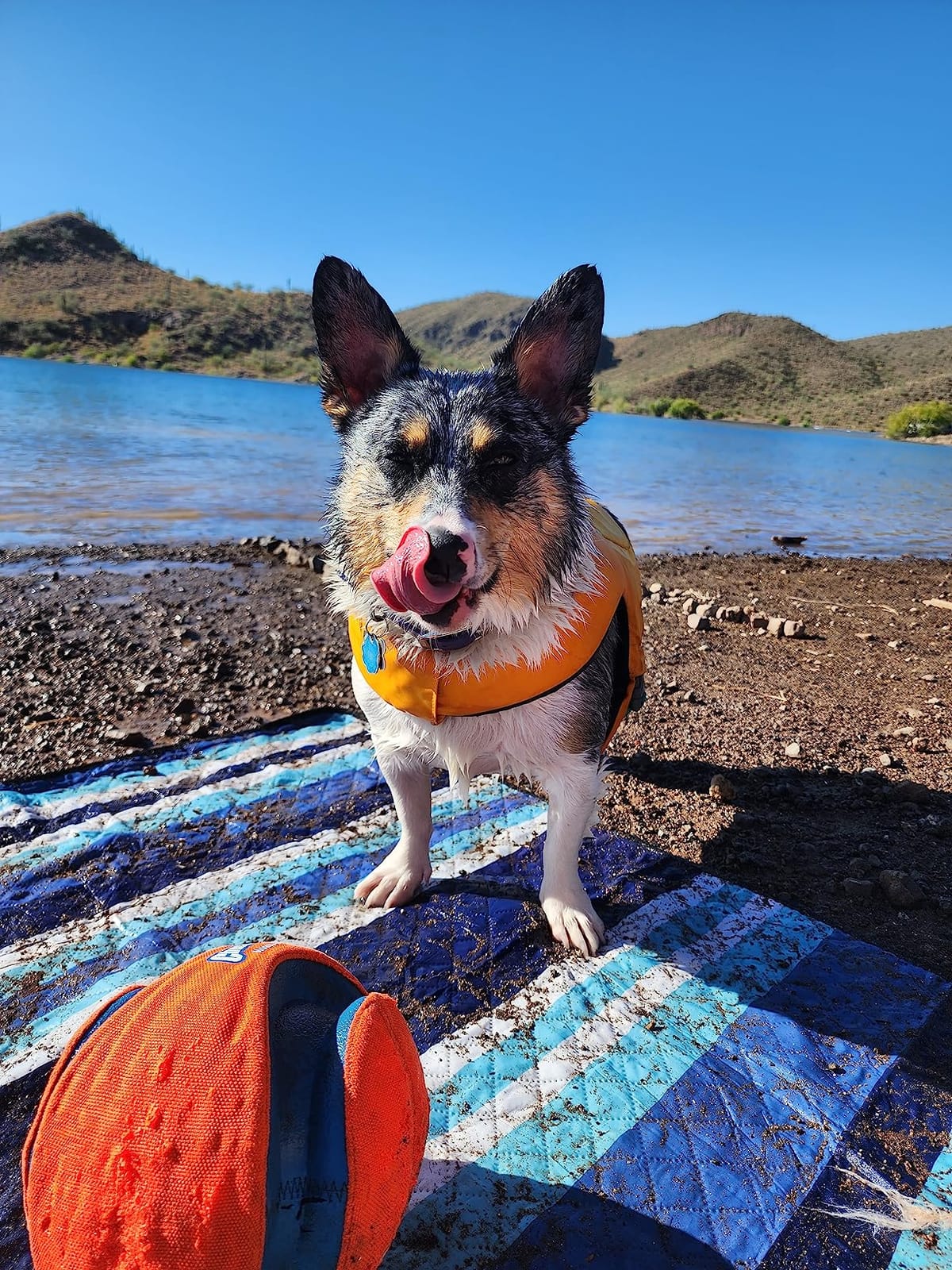 ZAZE Picnic Blankets Beach Blanket, 80''x80'' Extra Large Thick 3-Layers, Sandproof Machine Washable Waterproof Foldable Oversized XL Outdoor Mat, for Camping, Park, Travel, Grass(Blue White Stripe) customer photo 1