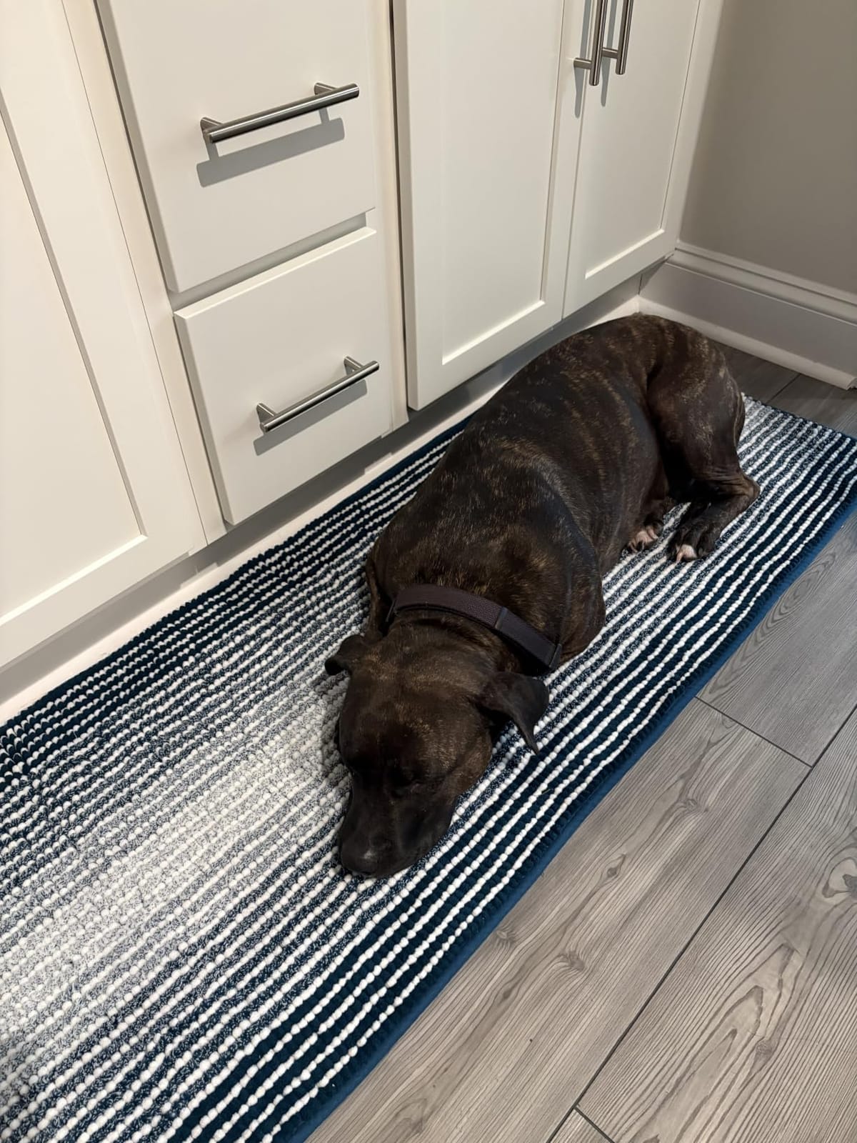 BSICPRO Bathroom Rugs and Mats Sets, 2 Piece Thick Absorbent Chenille Bath Mat Rug Set Non Slip, Soft Shaggy Bath Room Floor Mats for Bathroom, Machine Washable (20