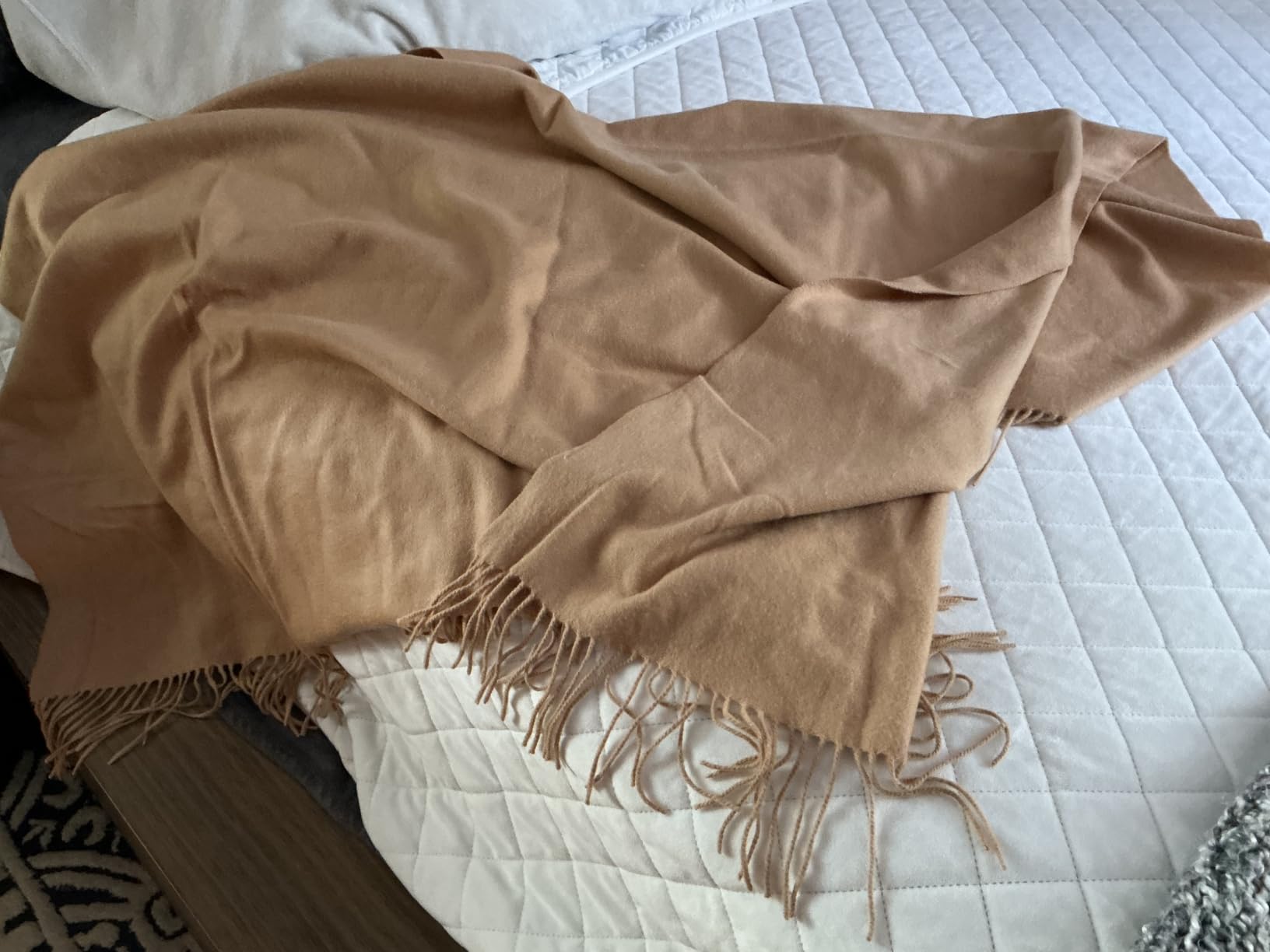 Velanio Cashmere 100% Cashmere Throw Blanket with Fringe 60 x 54 Inch Super Soft Warm for Home, Travel Sofa Bed (Ivory) customer photo 2