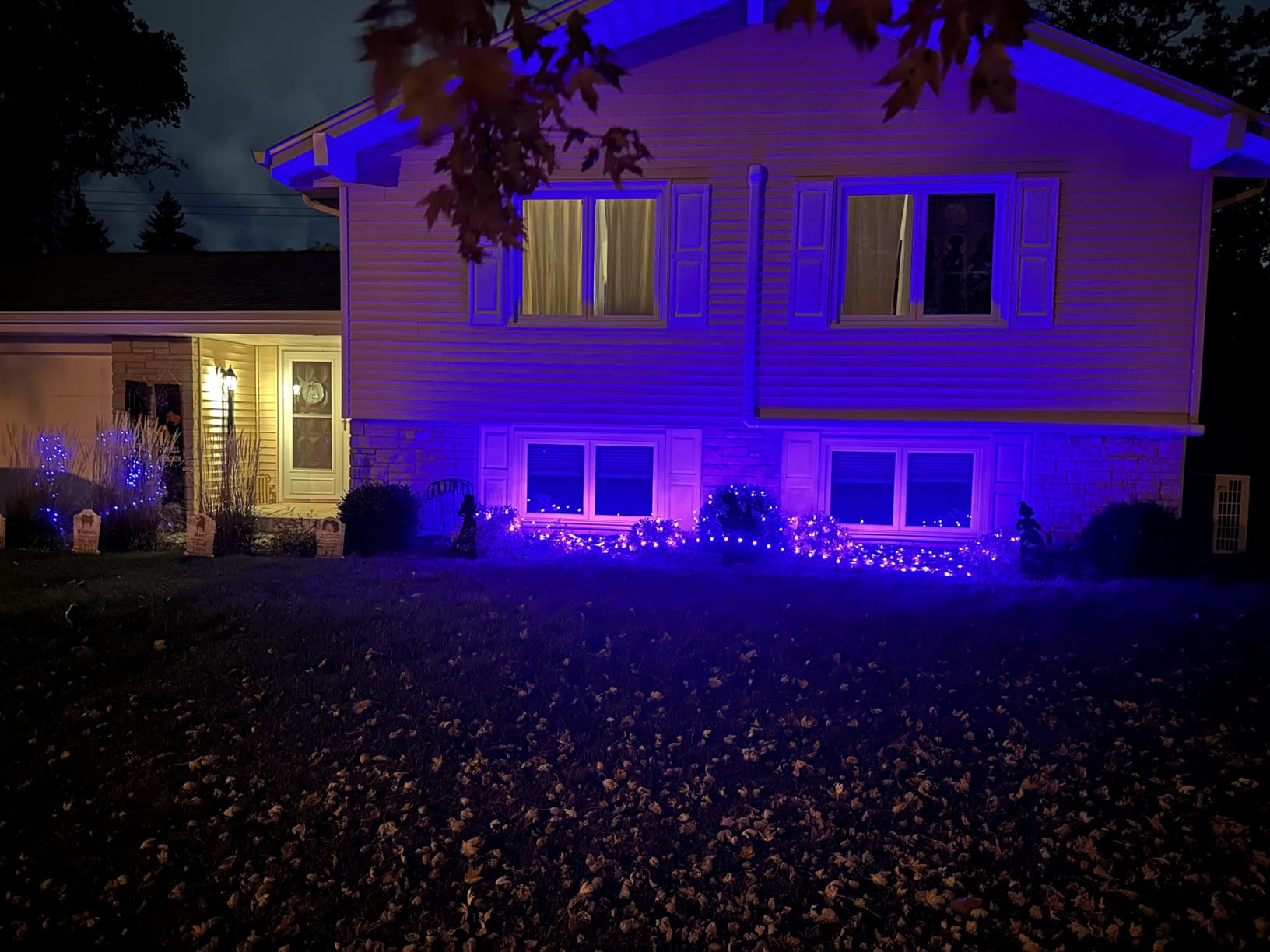 LJLNION Christmas Net Lights, 360 LED 12ft x 5ft Connectable Mesh Fairy String Lights, 8 Modes Low Voltage Safe Adaptor for Xmas Trees, Bushes, Wedding, Outdoor Garden Decorations, Warm White customer photo 2
