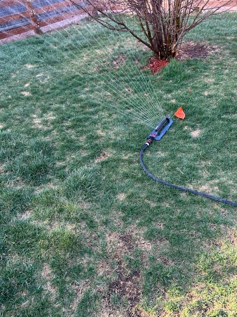 Eden 96213 Weighted Essential Oscillating Sprinkler | Covers Up to 3,600 sq. ft., 16 Precision Nozzles, Adjustable Range, Turbo Drive Motor, Quick Connect Bundle, Stainless Steel Filters, Black customer photo 1