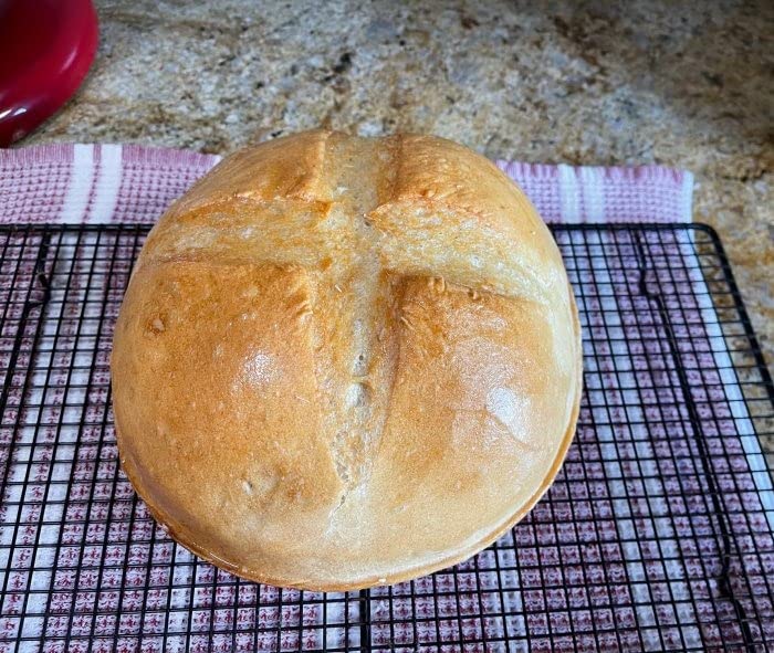 Le Creuset Enameled Cast Iron Signature Round Bread Oven, 9.5 inch, Cerise customer photo 1