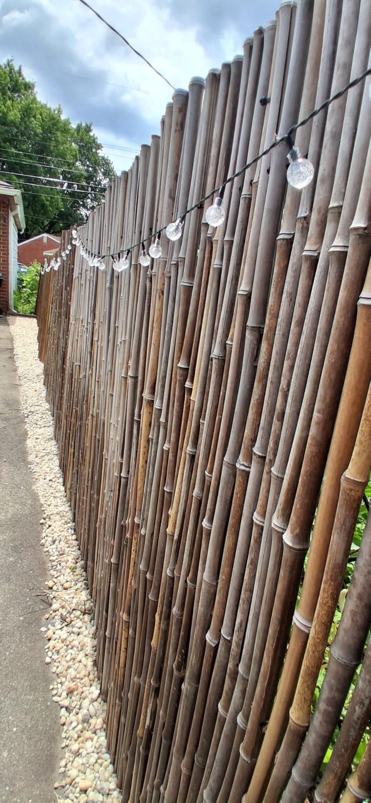 FOREVER BAMBOO Natural Bamboo Fencing Decorative Rolled Fence Panel 1 in D x 6 ft H x 8 ft L customer photo 1