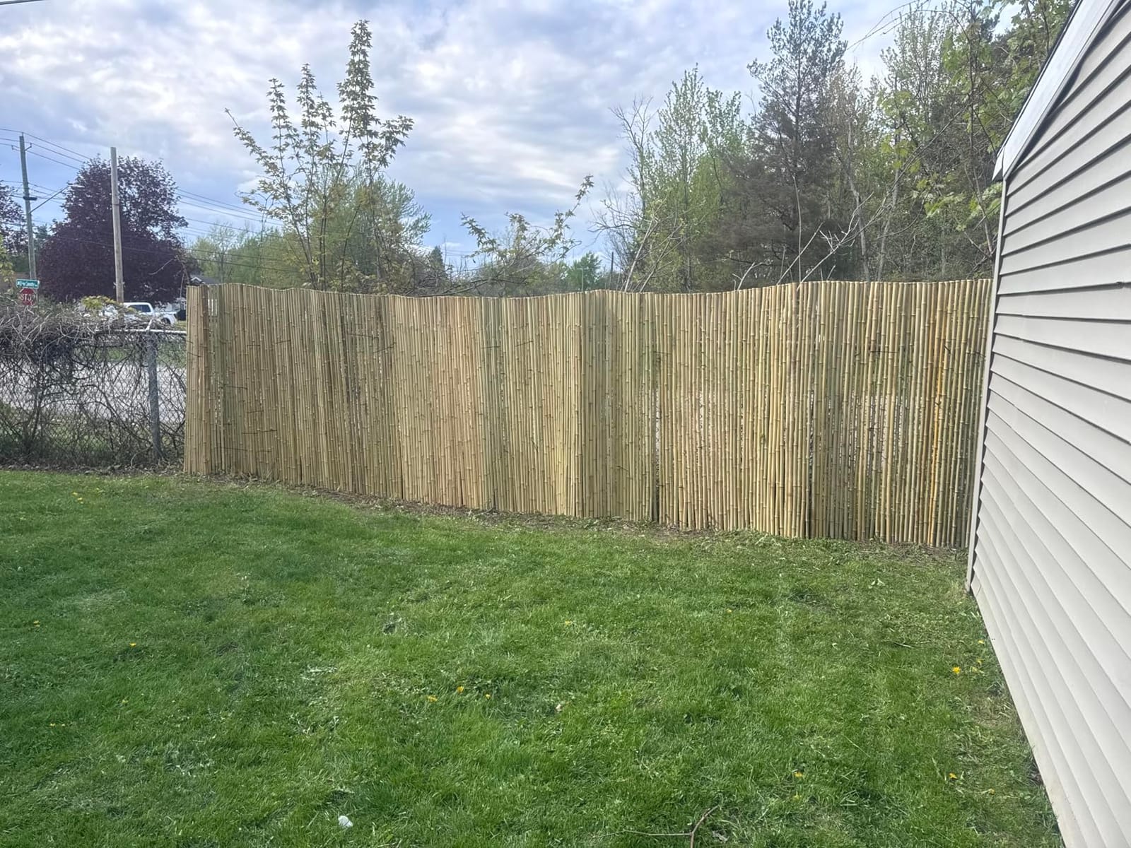 FOREVER BAMBOO Natural Bamboo Fencing Decorative Rolled Fence Panel 1 in D x 6 ft H x 8 ft L customer photo 2