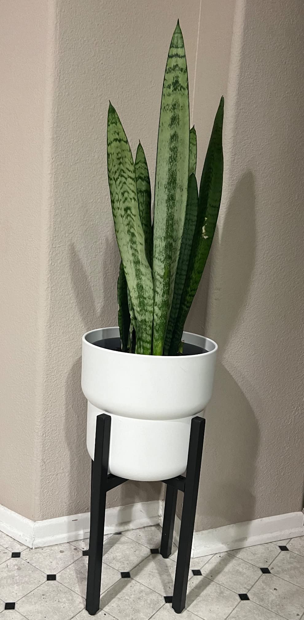 YueTong 2 Pack Indoor Plant Stand for Large Plants, Outdoor Plant Stands Fits 12-16 inch Pot, Adjustable Metal Heavy Duty Planter Stand (Matte Black) customer photo 2