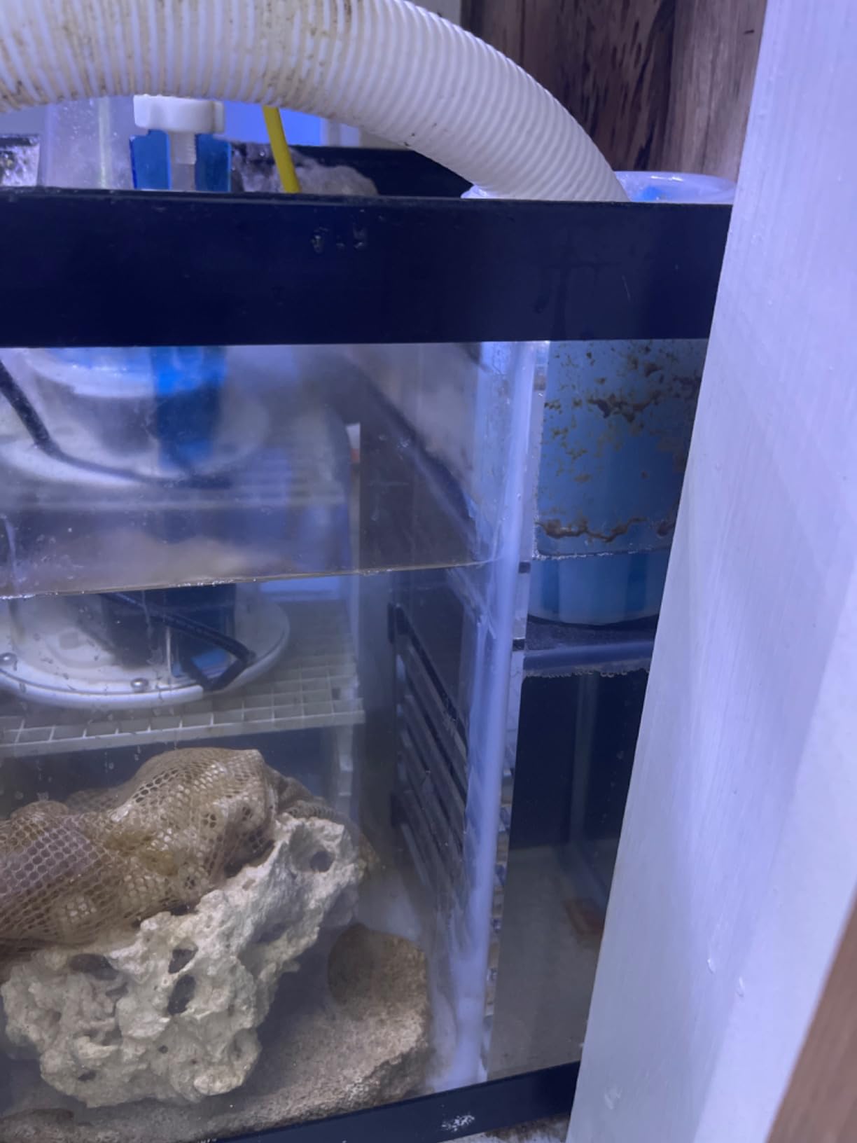 Adjustable Sump Baffle Kit - Refugium Kit for 20 Gallon Long Tank - Reef Aquarium - Saltwater Aquarium Filter System- Protein Skimmer Sump customer photo 1