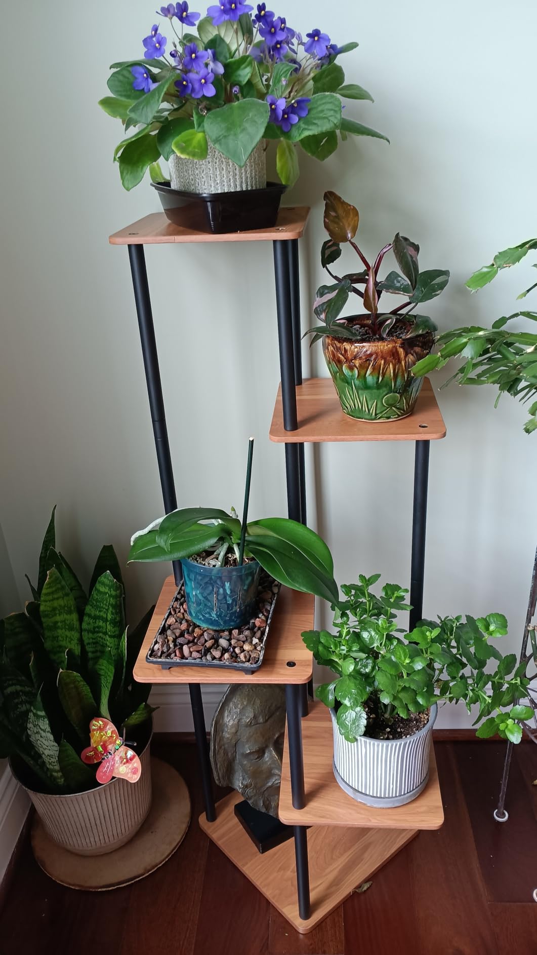 AZERPIAN Plant Stand 5 Tier Indoor Metal Flower Shelf for Multiple Plants Corner Tall Flower Holders for Patio Garden Living Room Balcony Bedroom, Black (5 Tier-Black) customer photo 1
