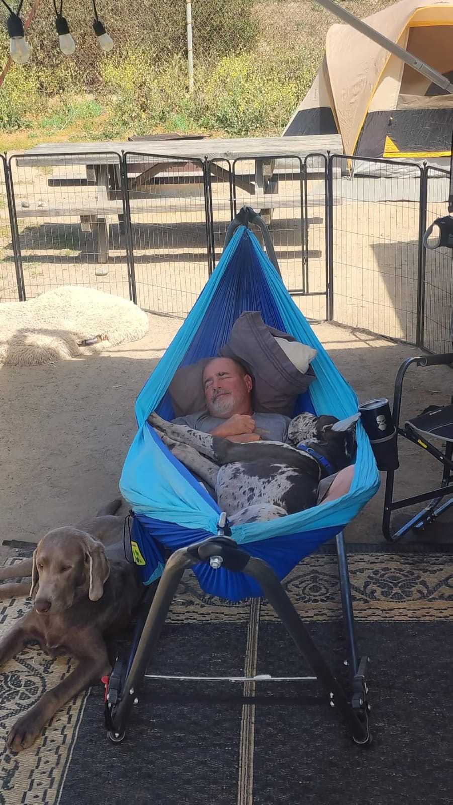 Durable Hammock 500 lb Capacity, Nylon Camping Hammock Chair - Double or Single Sizes w/Tree Straps and Attached Carry Bag - Portable for Travel/Backpacking/Beach/Backyard (Large, Blue & Light Blue) customer photo 1