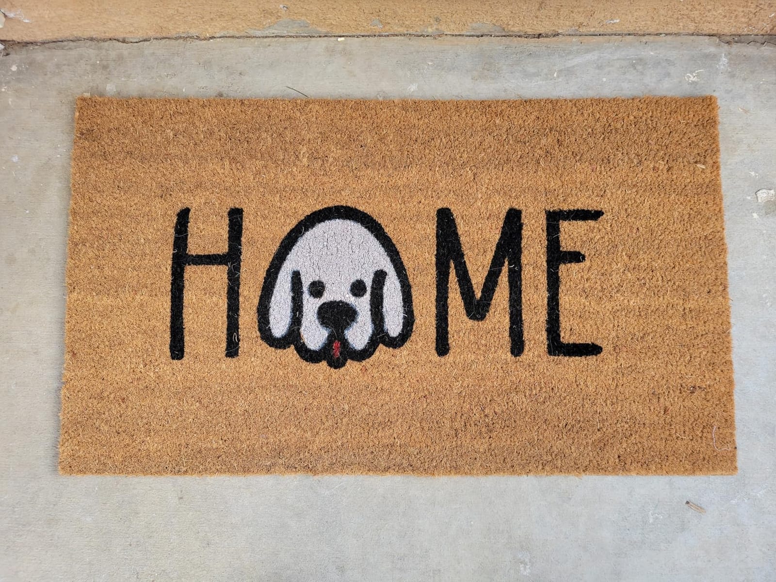 Coire Welcome Mat, Non-Slip, Colorful Birds, 17 x 29 in | 100% Natural Coir, Anti-Shedding, Durable PVC Backing, Traps Dirt and Mud, Indoor and Outdoor Entryway, Easy to Clean customer photo 1