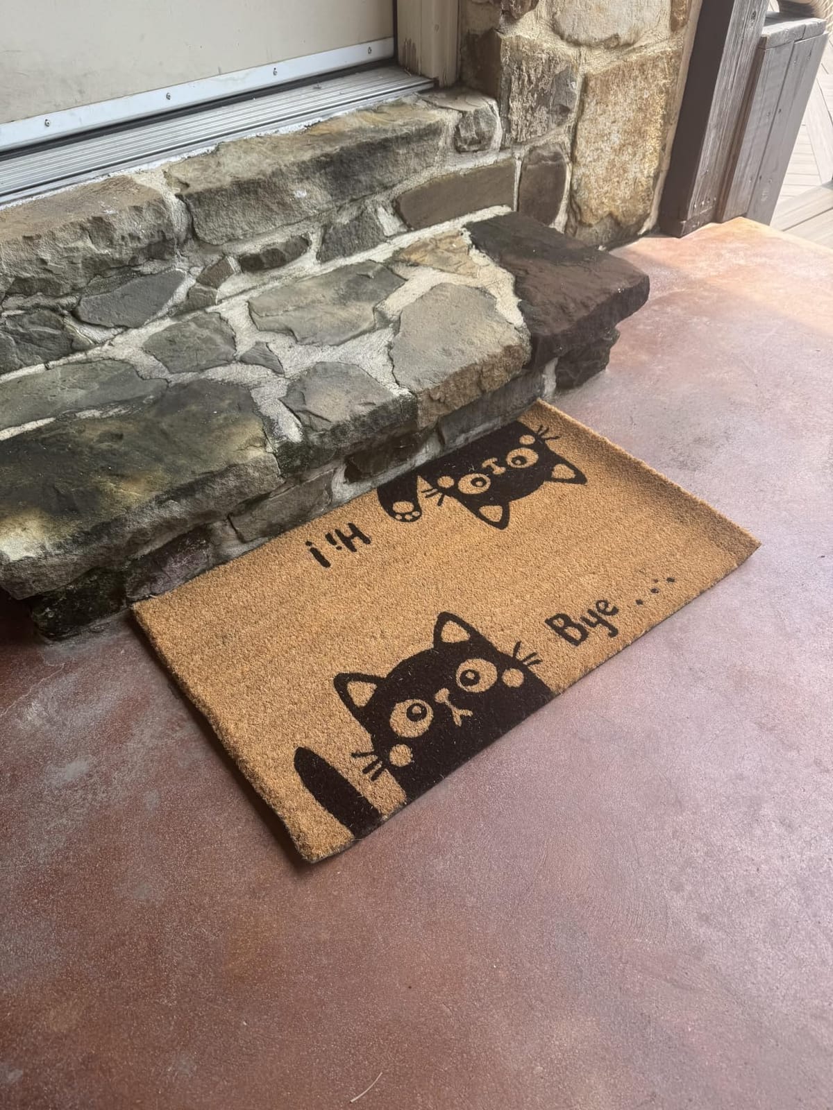 Coire Welcome Mat, Non-Slip, Colorful Birds, 17 x 29 in | 100% Natural Coir, Anti-Shedding, Durable PVC Backing, Traps Dirt and Mud, Indoor and Outdoor Entryway, Easy to Clean customer photo 2