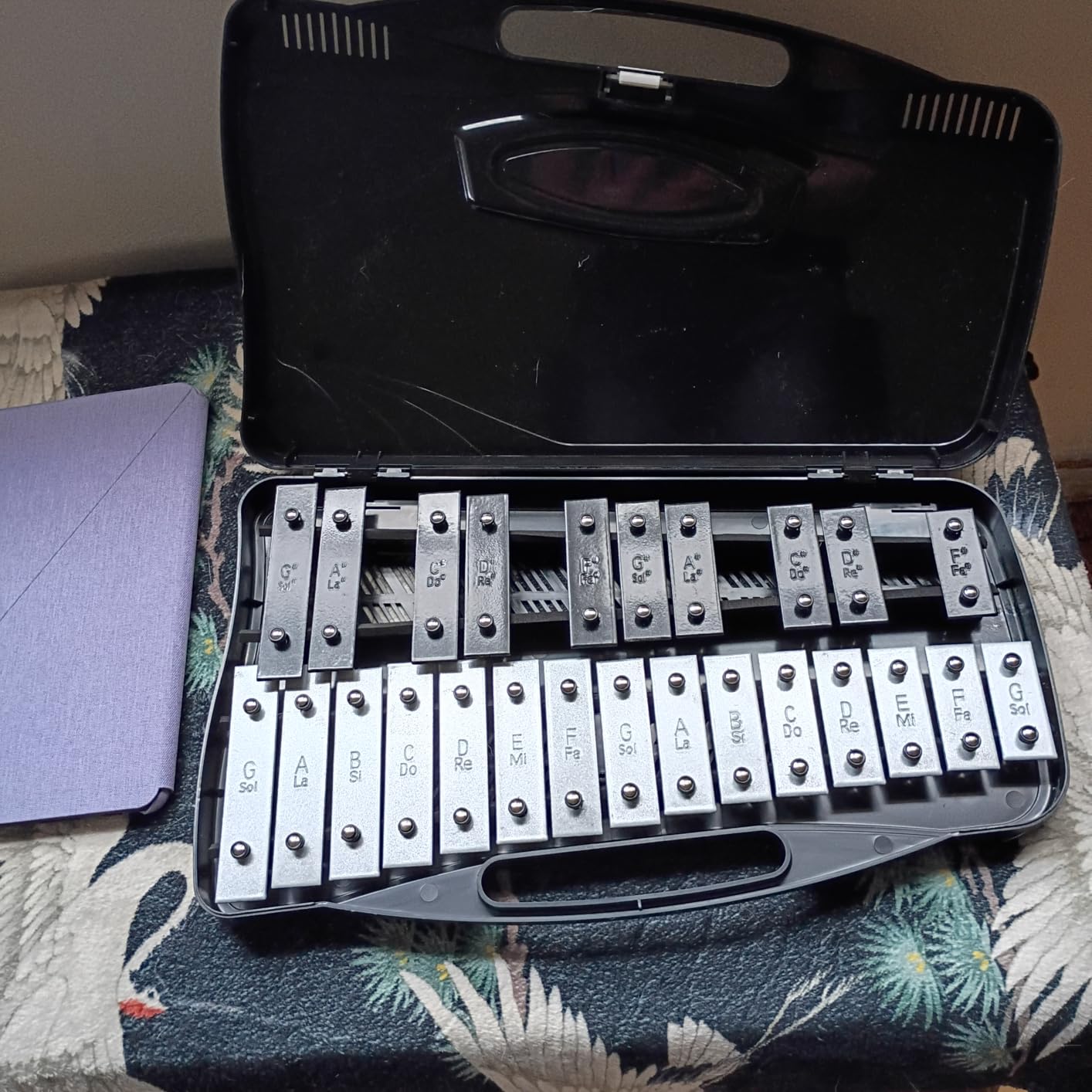 EASTROCK 25 Notes Xylophone Professional Glockenspiel with Box Stick Black | Aluminum Alloy Piano Keys ABS Hard Storage Box Percussion Instrument Kit Suitable for Adult Beginners Music Performance customer photo 2