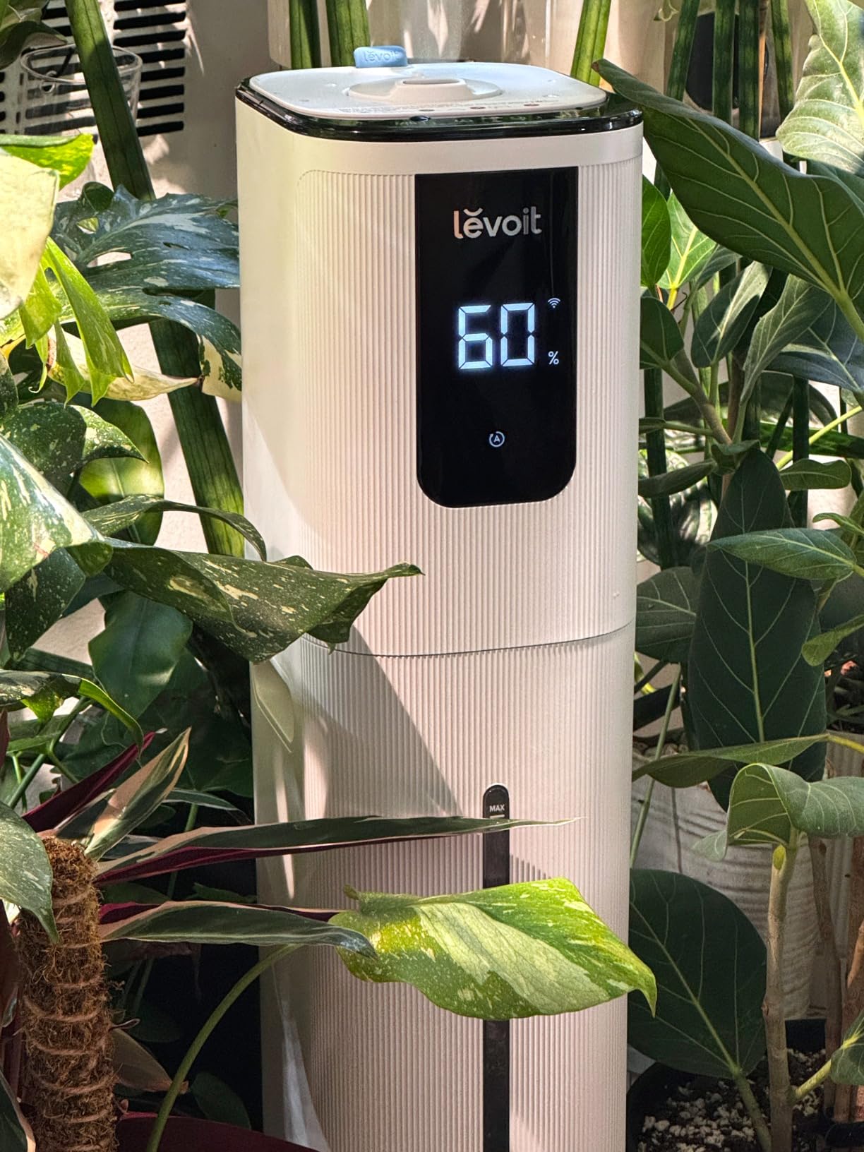 Levoit OasisMist 1000S (10L) Smart Humidifier for Home Large Room Bedroom | Last 100 Hours Suitable for Indoor Plant, Cover up to 600ft, Easy Top Fill, Remoter & Voice Control, Auto Mode, Quiet customer photo 1