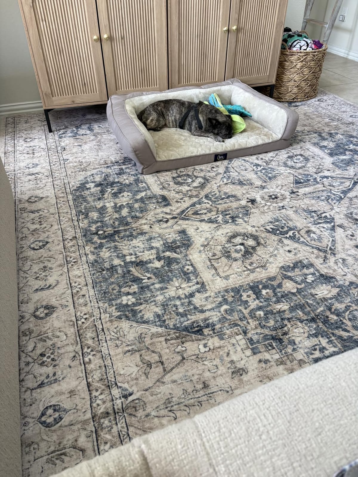 Tortania Area Rug 9x12 Living Room Rug Washable Soft Cream/Blue | Vintage Oriental Farmhouse Carpet for Bedroom/Office/Under Dining Table, Home Decor Low Pile Busy Home Use customer photo 2