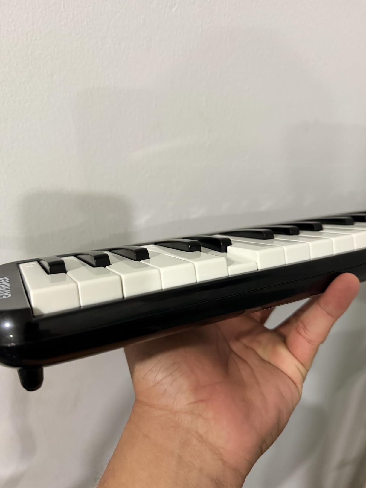 Eavnbaek 32 Keys Melodica Instrument, Soprano Melodica Air Piano Keyboard Pianica with 2 Soft Long Tubes, 2 Short Mouthpieces and Carrying Bag (Black) customer photo 1