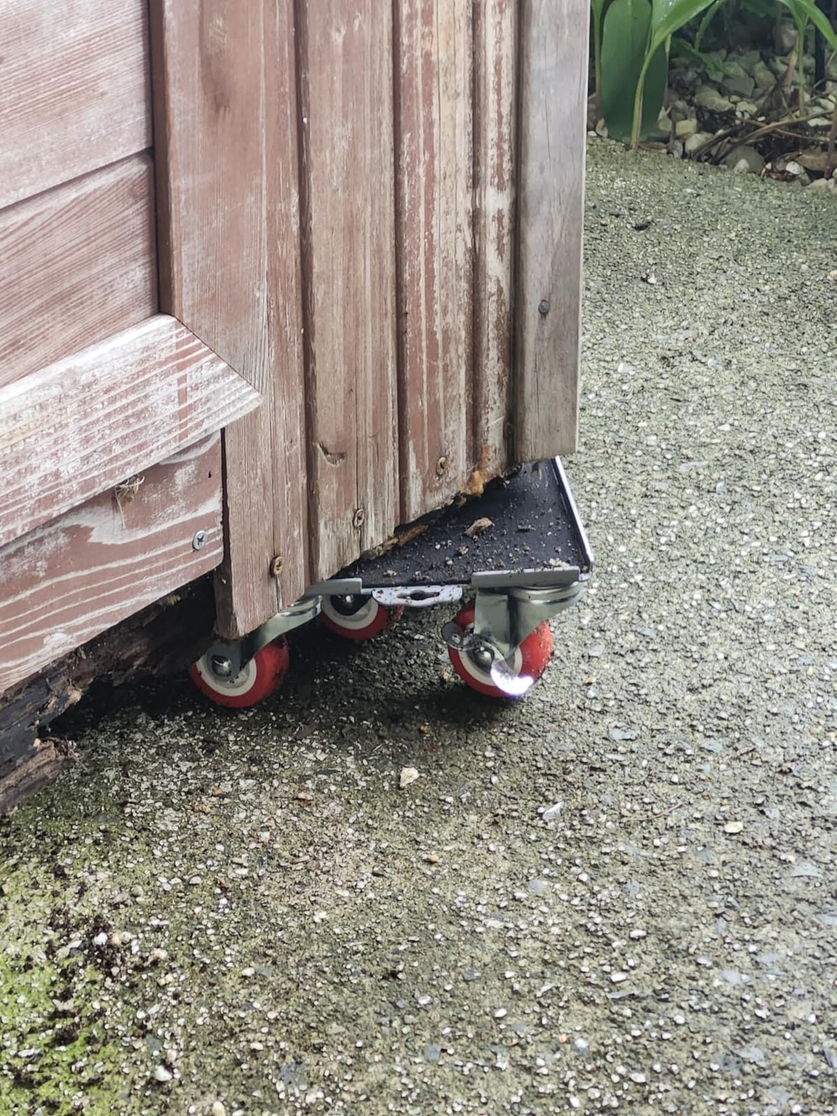 MYUEA Furniture Dolly, Furniture Movers with 5 Wheels, Carbon Steel Panel Heavy Duty Dolly, Maximum Load 3474LBS, Furniture Lifter with 5 360° Rotatable Rubber Universal Wheels (Black, 6.89x6.9 in) customer photo 2