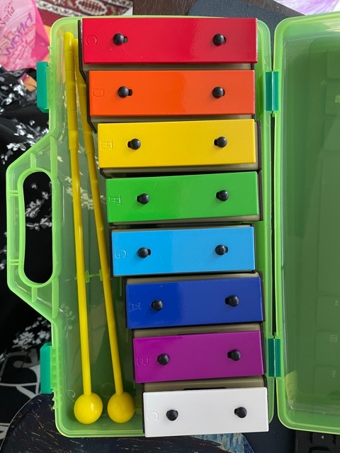 Glockenspiel Xylophone for Kids Colorful 25 Notes with 30-Song Songbook | Glockenspiel Instrument, Kids Xylophone, Metal Keys, Yellow Case, 2 Mallets, Music Learning, Classroom Use, Birthday Gift customer photo 2