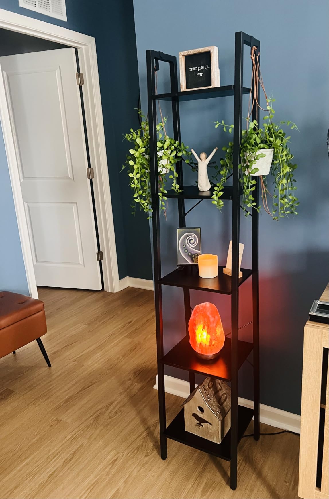 Hzuaneri Ladder Shelf, Bookshelf, Freestanding Corner Storage Shelf customer photo 2