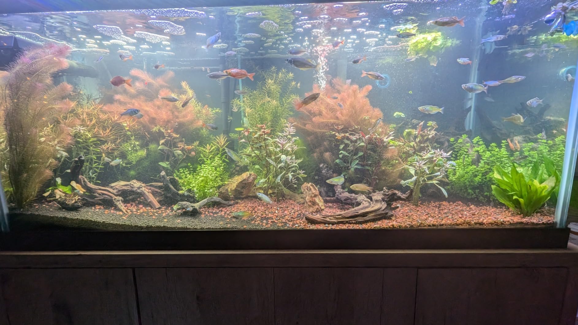 Hygger Aquarium Wave Maker - Adjustable Cross Flow Pump with LED Display Controller, Magnetic DC 24V Powerhead for Freshwater & Marine Reef Aquariums Up to 265 Gallon (25W) customer photo 2