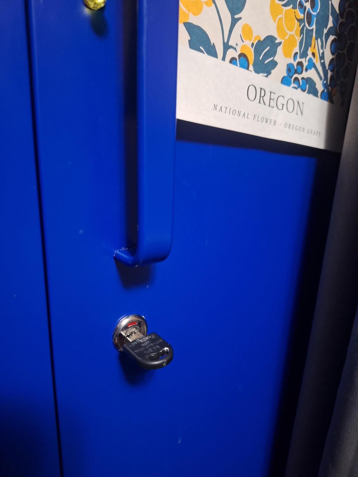 Letaya Metal Garage Storage Cabinets with Lock-72