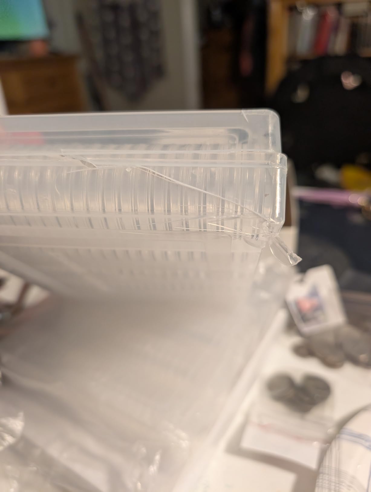 MUQING 240 PCS 30mm Plastic Coin Capsule Holder, 5 Sizes Protect Gasket Coin Case for Collectors, Round Coin Collecting Supplies with Storage Box customer photo 1