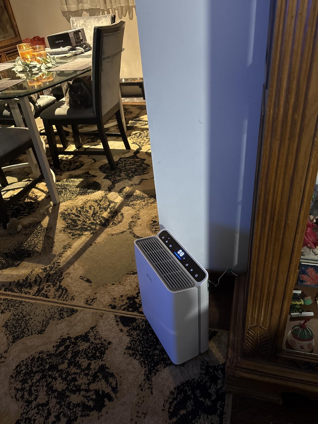 Afloia Air Purifier for Large Rooms Up to 2,000 Sq. Ft. with PM2.5 Display | 4-Stage HEPA Filter, Washable Pre-Filter, Ideal for Bedrooms, Helps Capture Pet Dander, Pollen, Dust, And Smoke customer photo 2