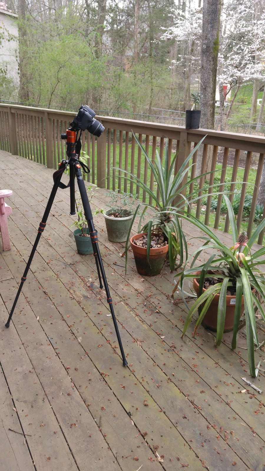80/85 inches Heavy Duty Tripod for Camera and Phone, 85