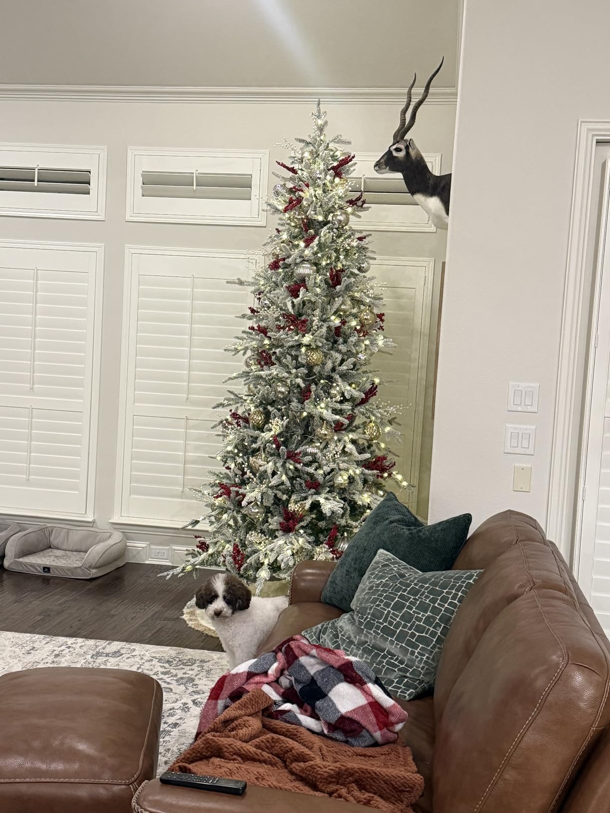 Best Choice Products Lighted Aspen Christmas Tree, 6ft Flocked Artificial Noble Fir, Pre-Lit White & Multicolored LED Lights Premium Holiday Décor - Green customer photo 1